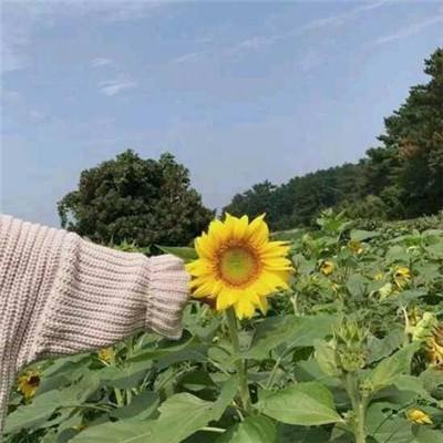 中信建投:白酒行业迎十年周期大底 2026马年消费十大预测