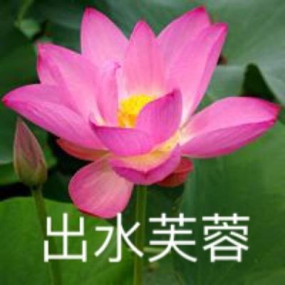 6686网页版登录入口申请